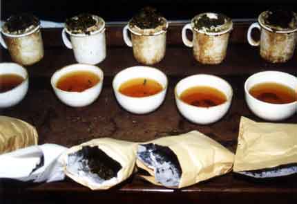 Teeverkostung durch den Teetester
