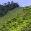 Erosion