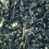 Fermentieren