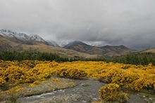 Takitimu Mountains