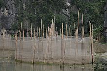 Fischen in Tam Coc