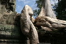 Ta Prohm