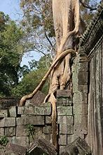 Angkor Wat