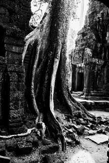 Ta Prohm