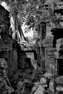 Ta Prohm